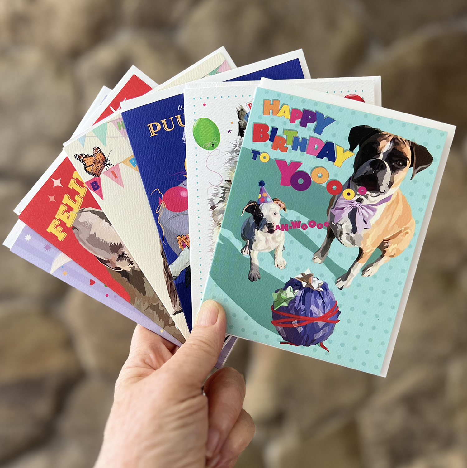 Furry Friends Birthday Bundle