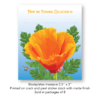 California Poppy Bookplate Set