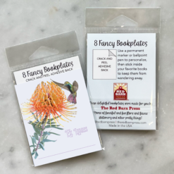 Alternative view of Protea and Hummingbird Bookplate Set