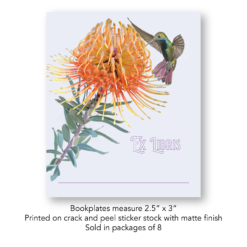 Protea and Hummingbird Bookplate Set