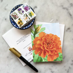 Alternative view of Marigold Notecard