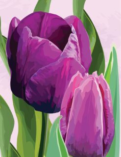 Purple Tulips Notecard