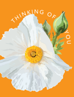 Thinking of You on Orange