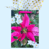 Gift Bag | Pink Poinsettia on Holiday Greens