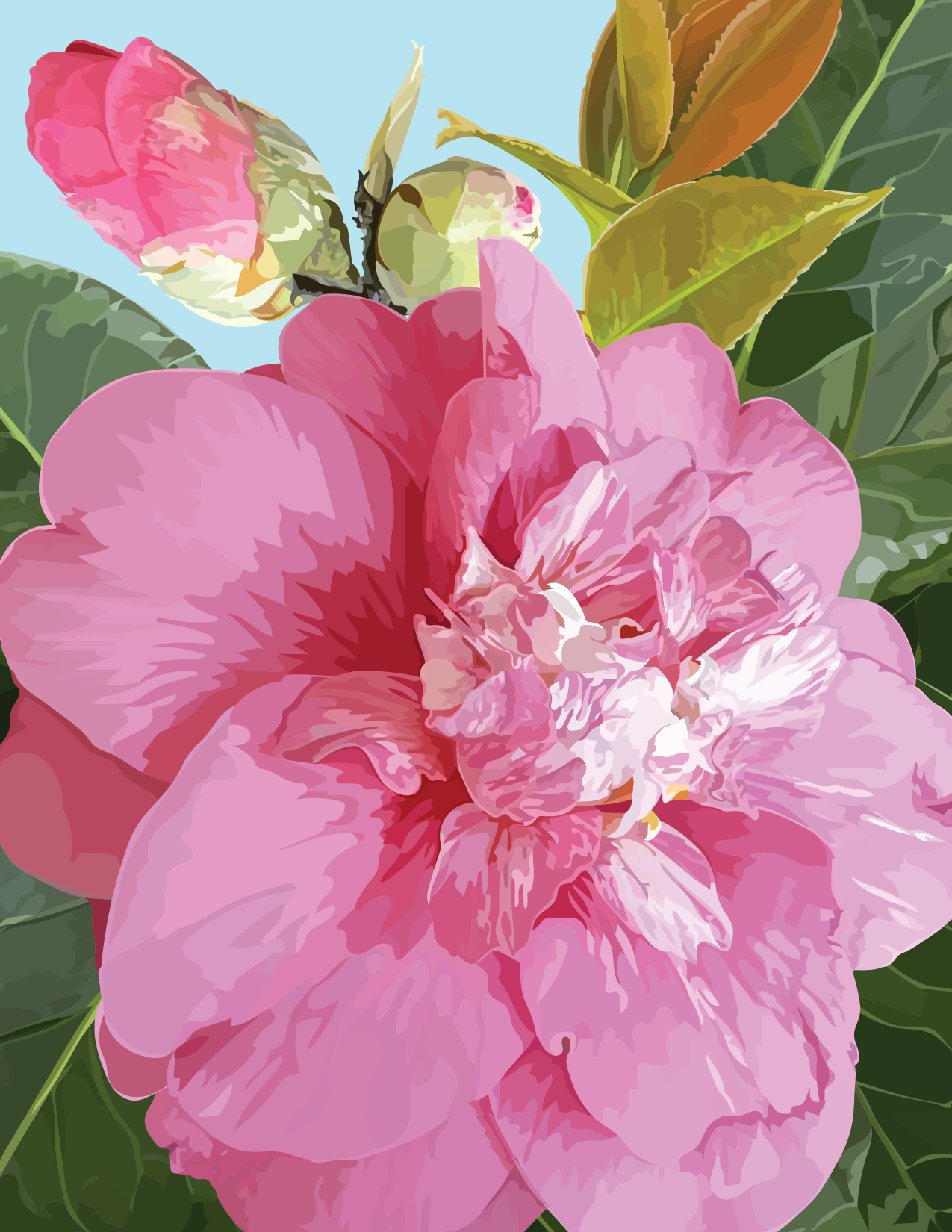 Pink Camellia Notecard