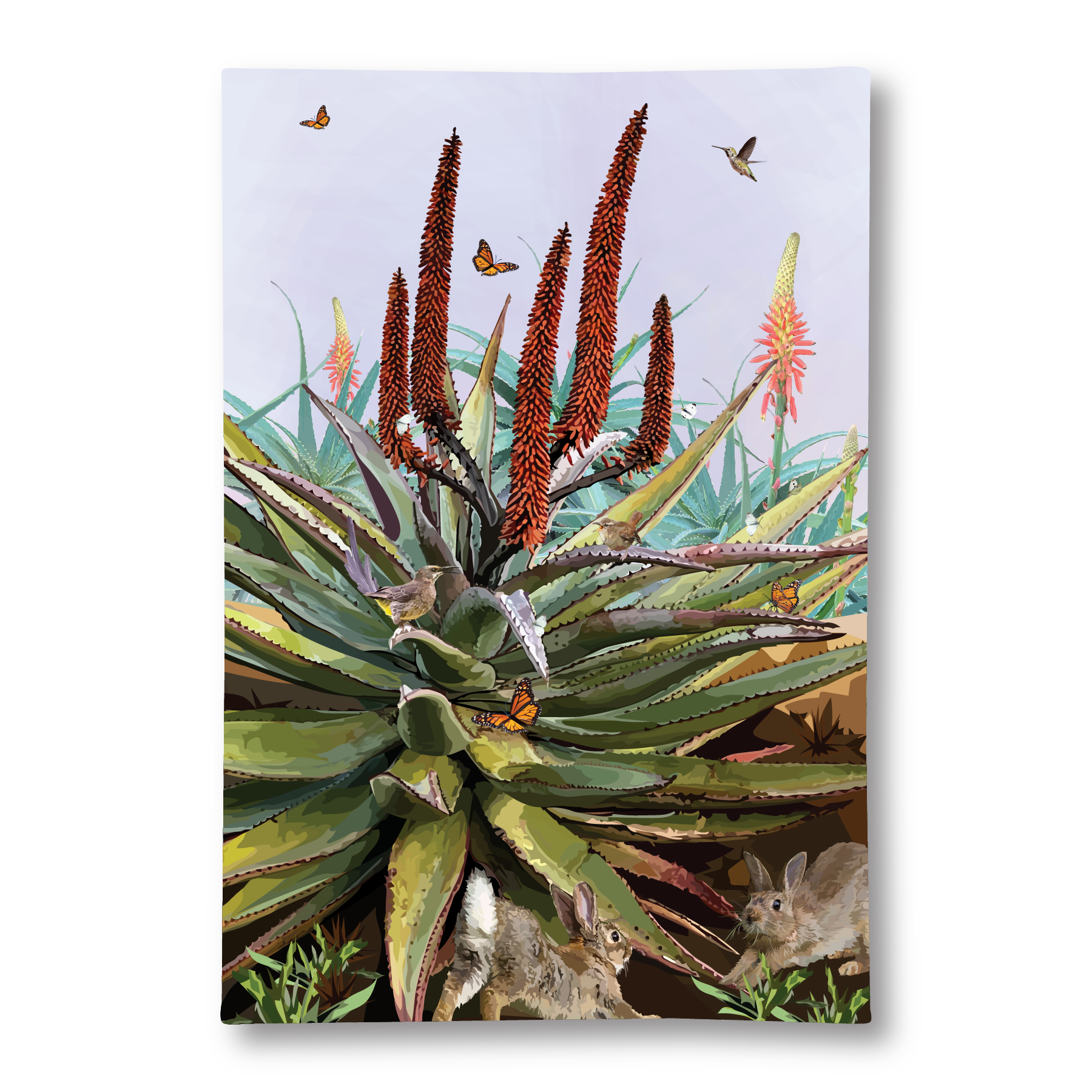 Tea Towel | Cape Aloe and Friends