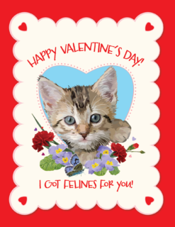 I Got Felines For You