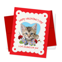 Alternative view of I Got Felines For You